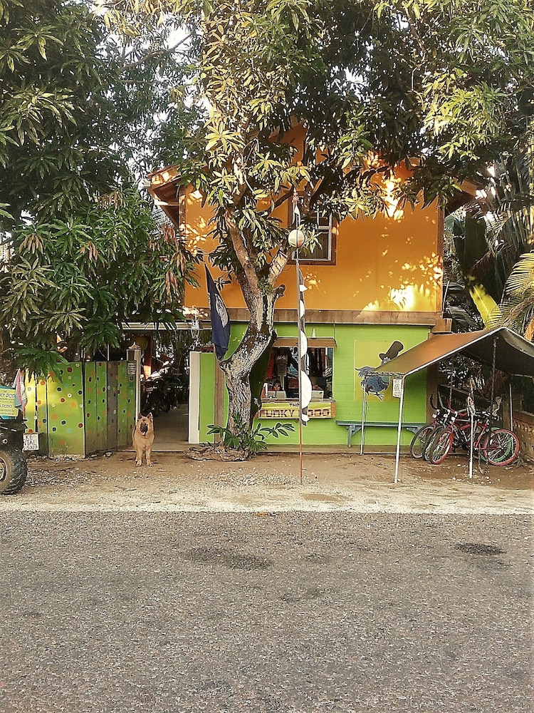 The Funky Dodo Backpackers