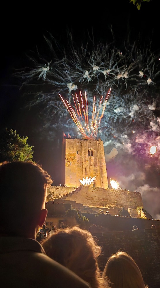Château Touzinat photo 3