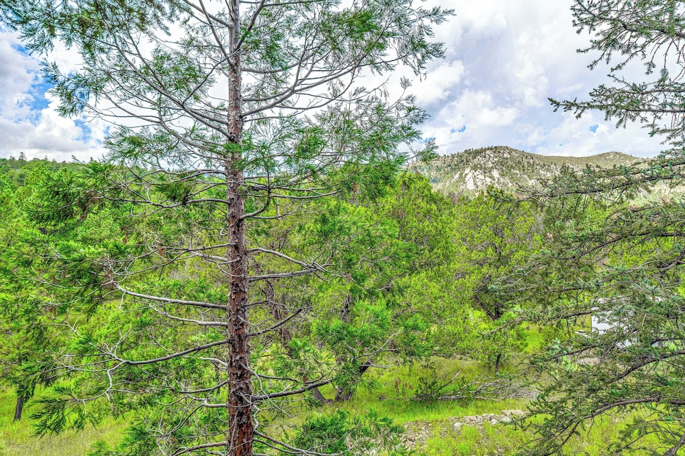 'ridgeview Adventure' - 14 Mi to Ski Apache!