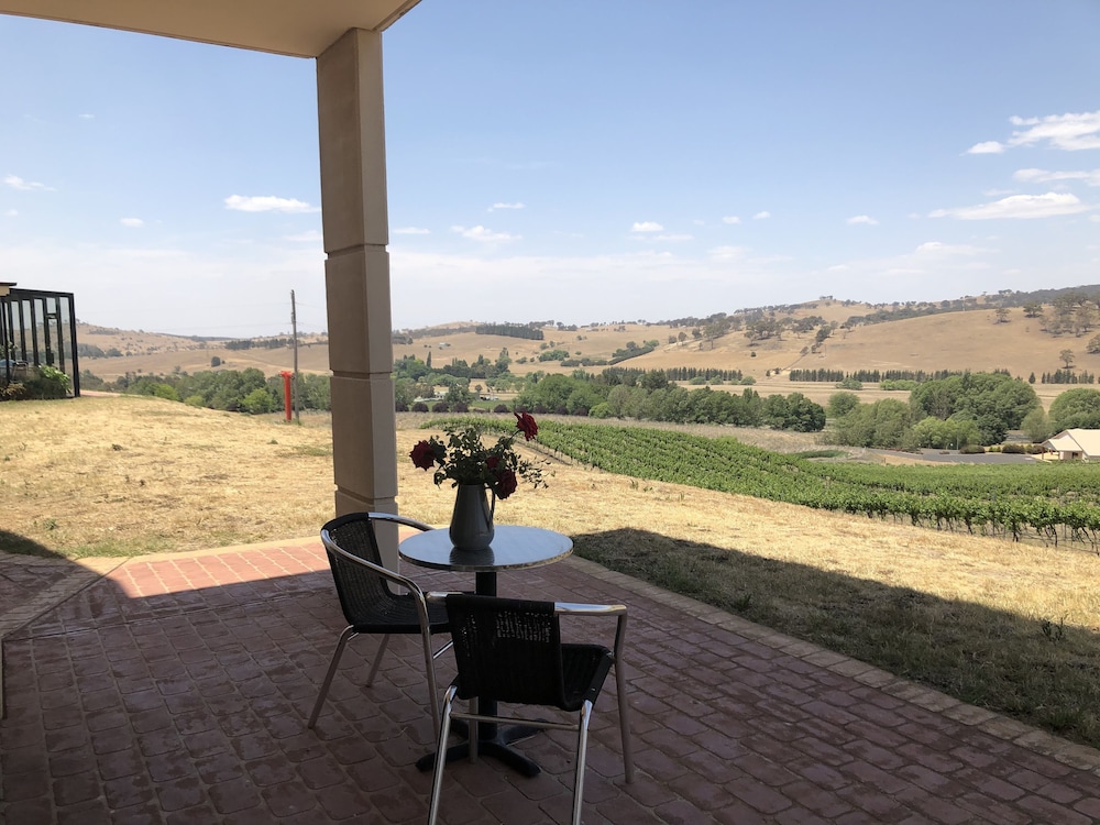 Turners Vineyard