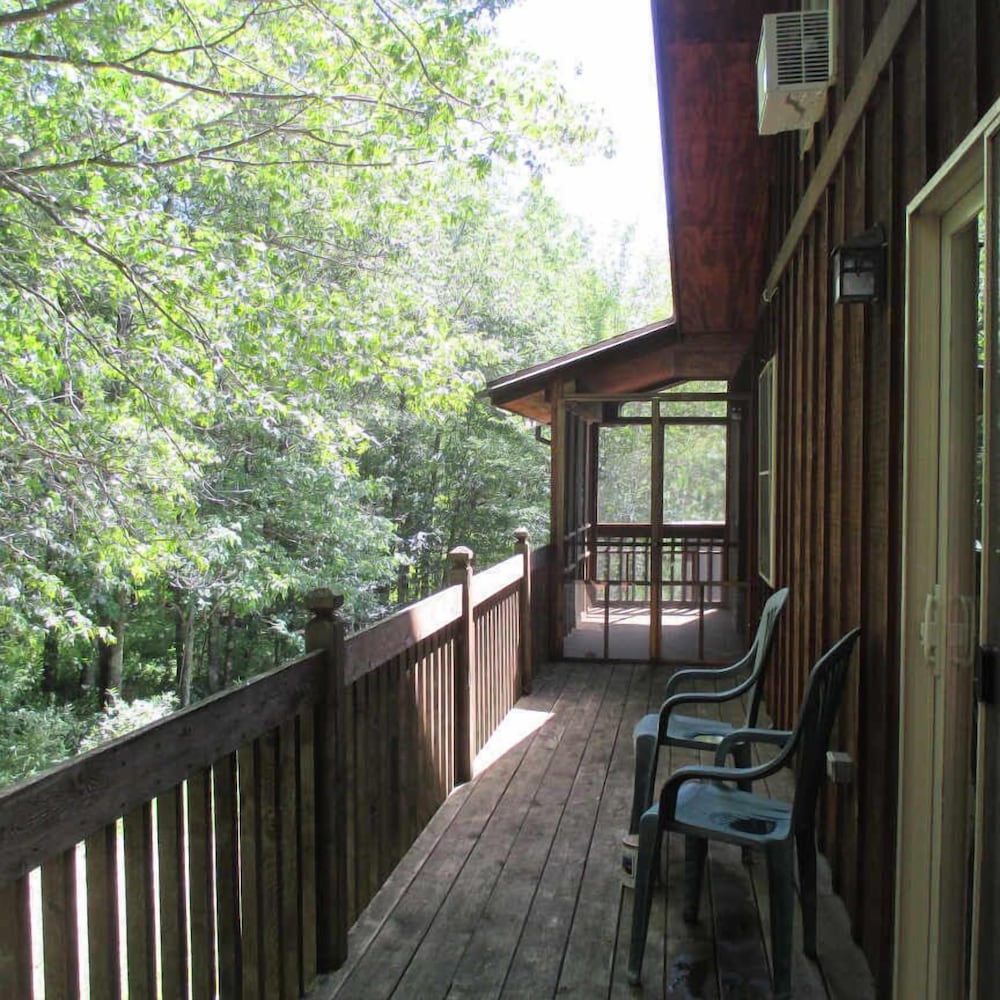 Shire In The Woods
