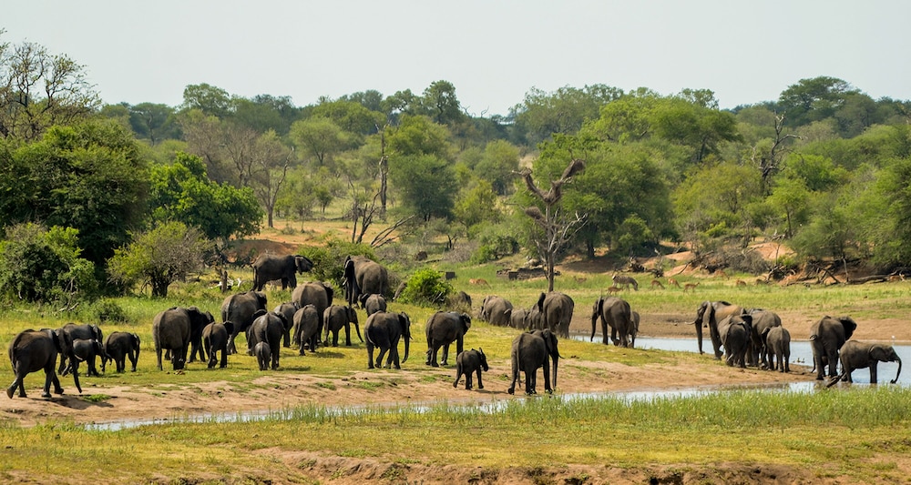 Elandela Private Game Reserve & Luxury Lodge