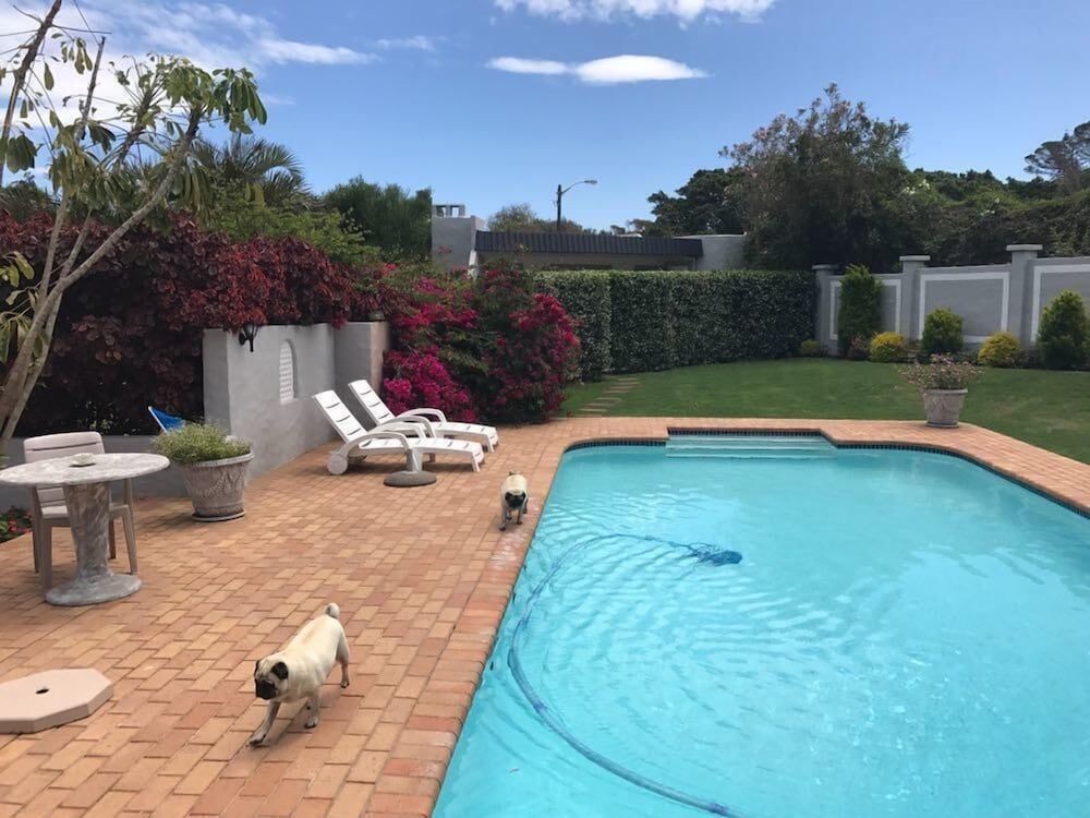 Pug and Putter