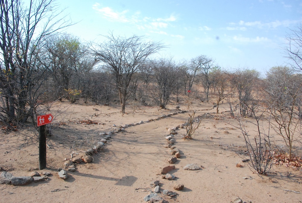 Oppi-Koppi Restcamp