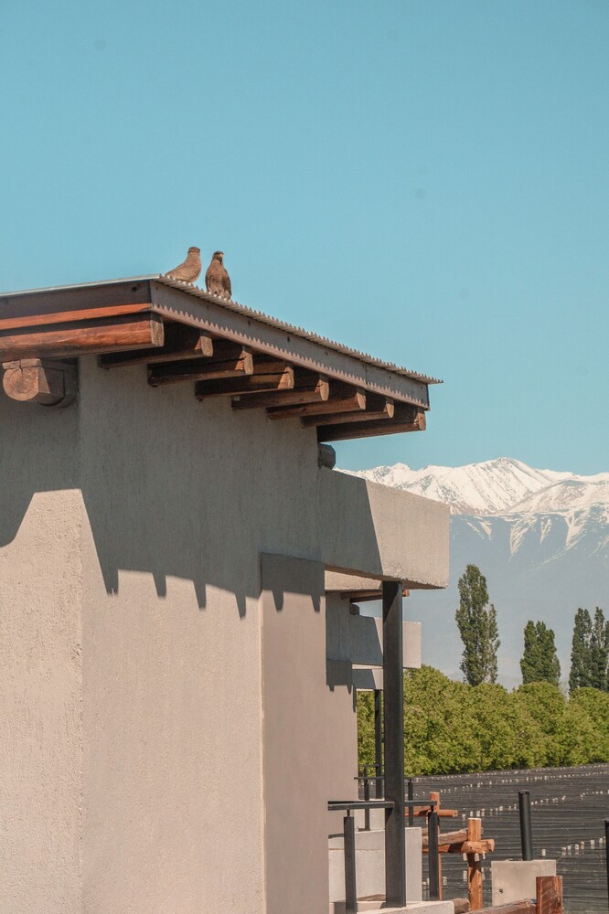 Agrelo Vines Lodge