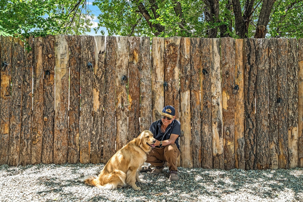 LUXX LODGE Glamping and Taos RV Park