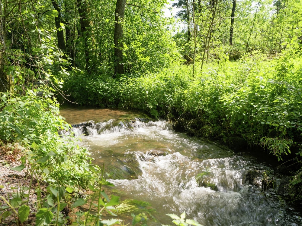 Nature Retreat in Waimes view 5