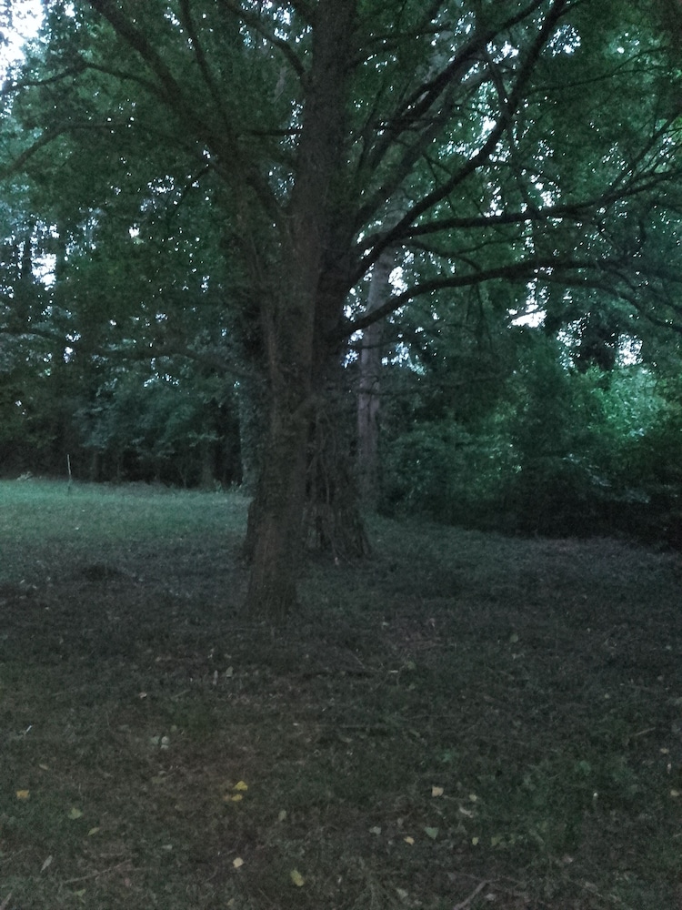 Photo 30