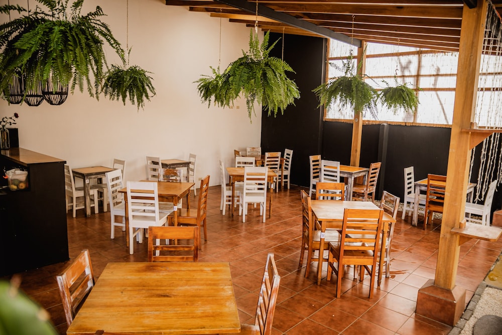 Luz De Luna Hotel Barrio Escalante - Property Image 16