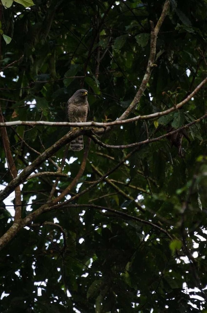 Grand Selva Lodge & Tours