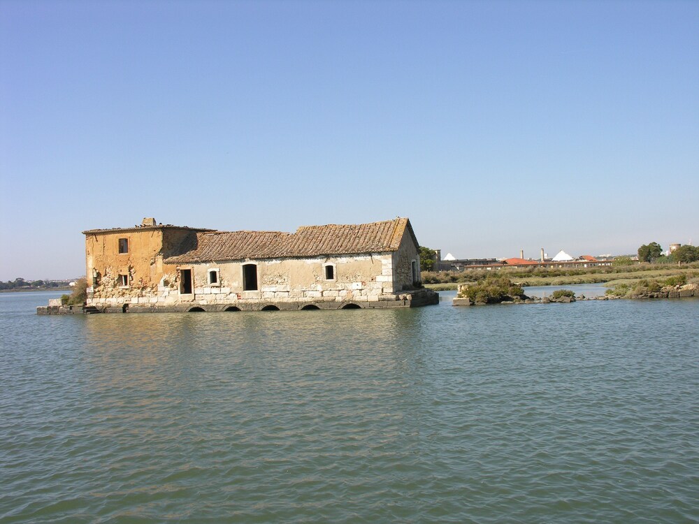 The Boat