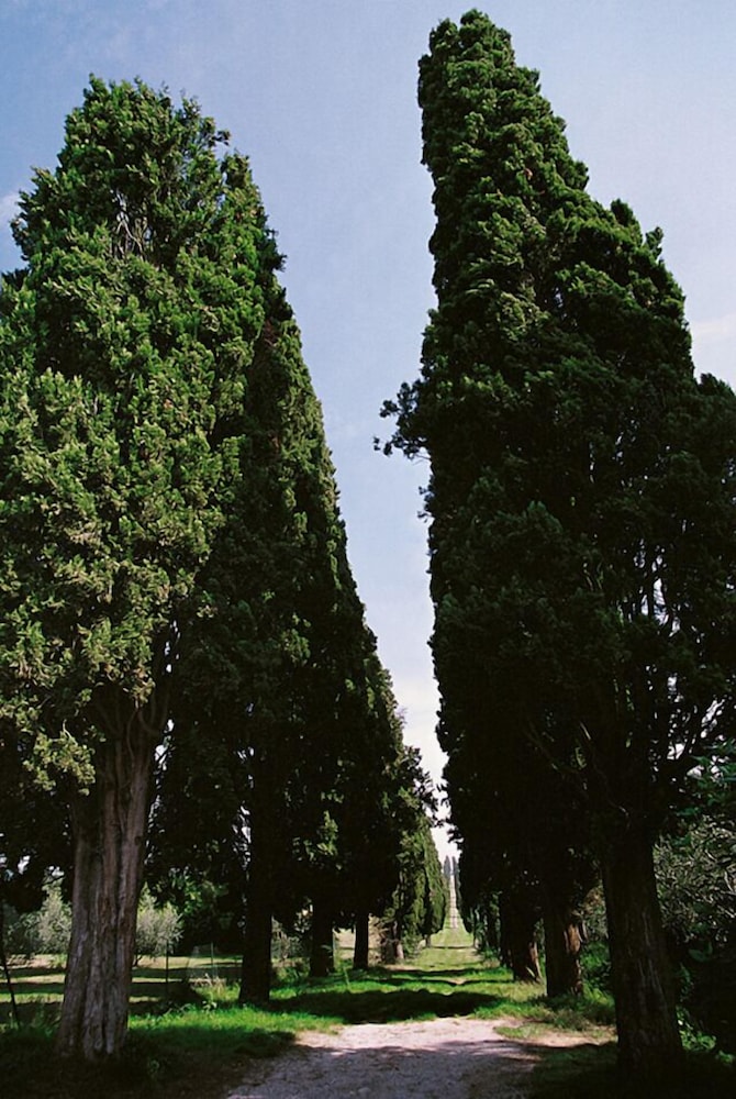 La Casalta