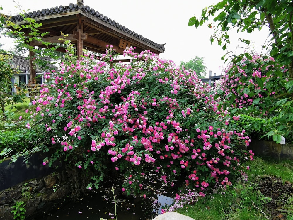 Huangshan Huizhou Creek Villa