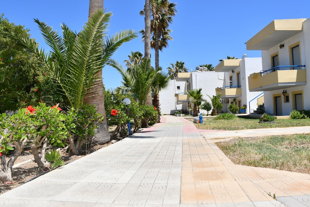 Photo 6