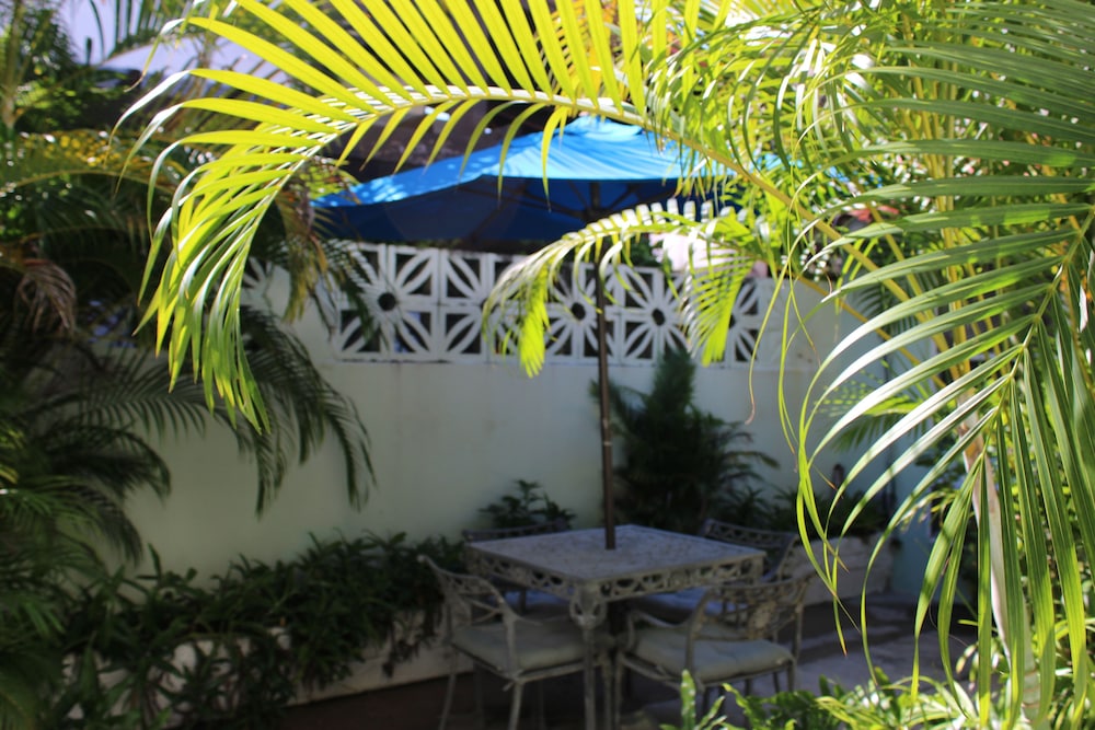 Numero Uno Beach Apartments