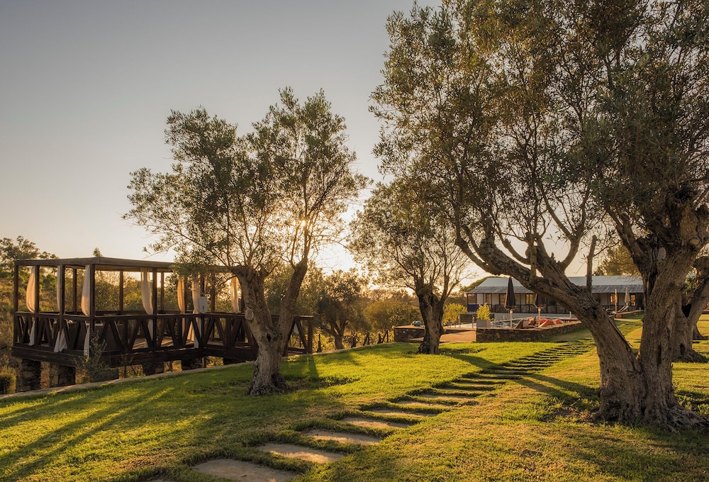 TEIMA Alentejo SW