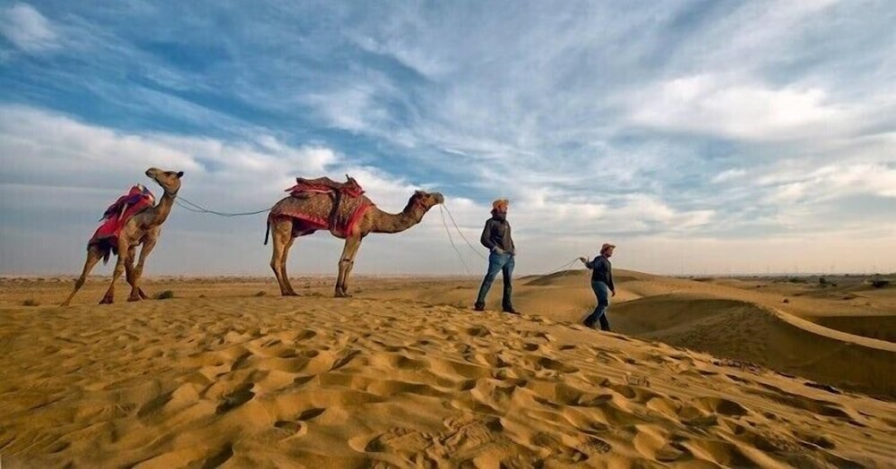 Sam Sand Dunes Desert Safari