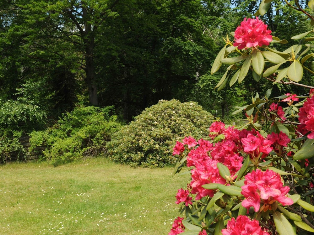 5 Star Holiday Home in Frederiksvaerk