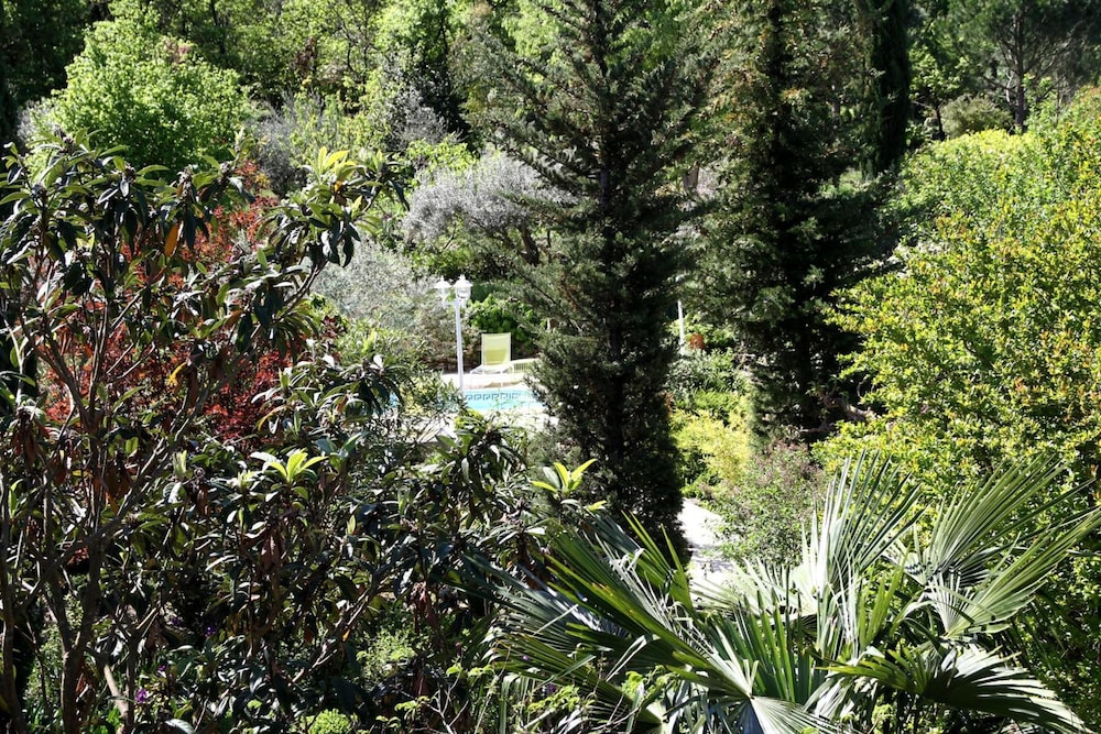 Photo 25