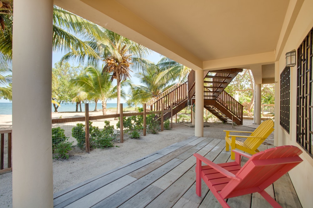 Buttonwood Belize