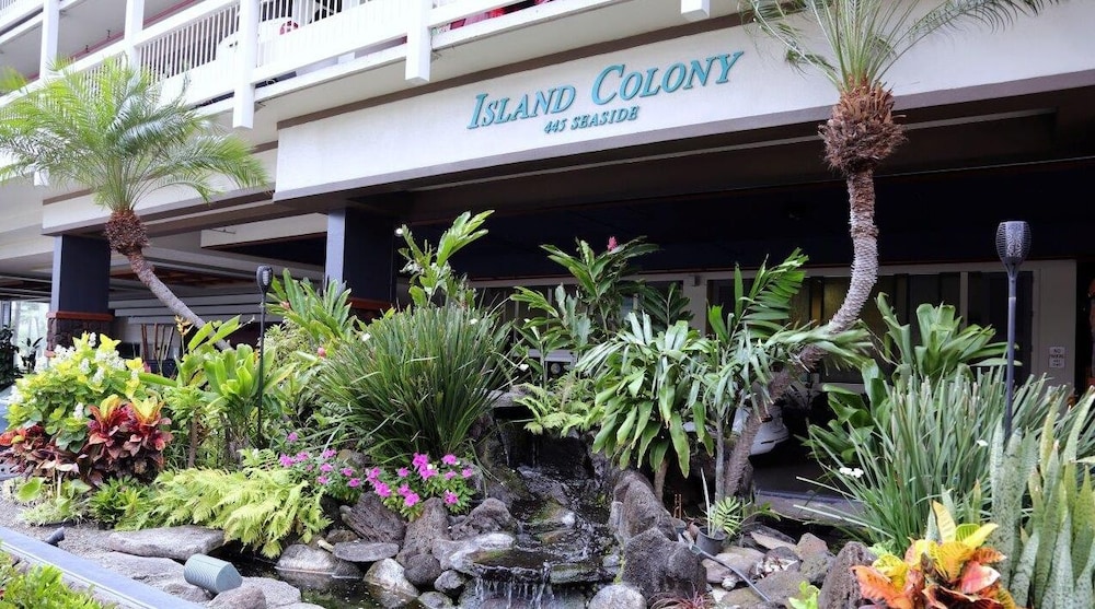 Island Colony 2301 1 Bedroom Condo by Redawning