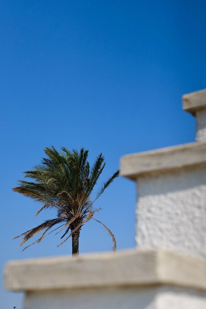 Photo 44