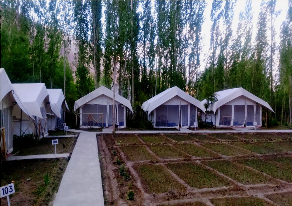 TIH Mystique Meadows Camp