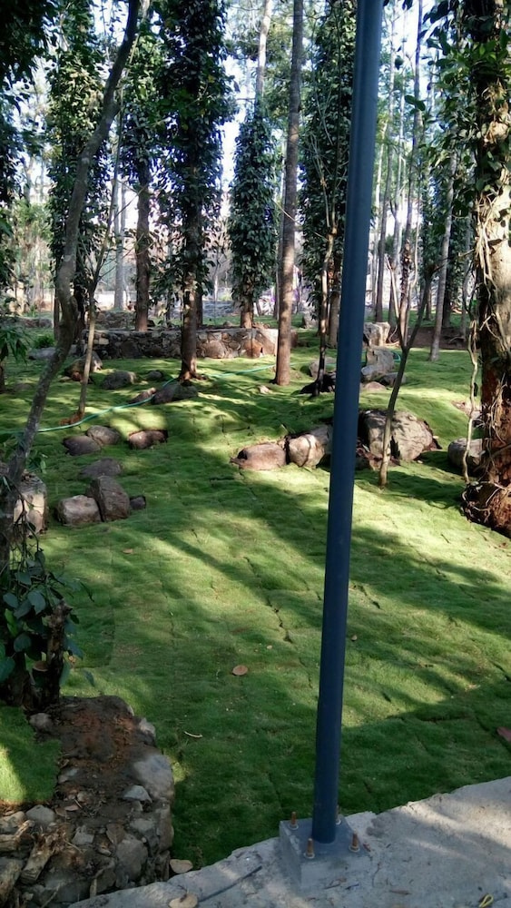 The Brook Resorts & Spa