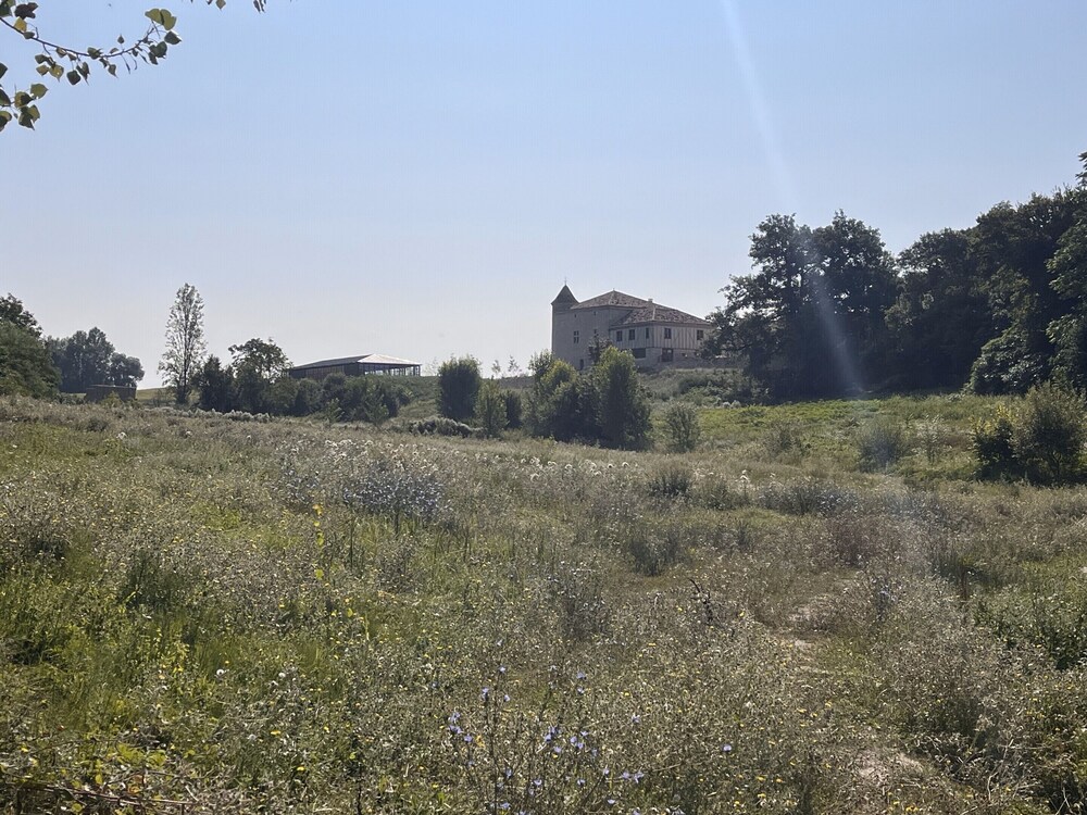 Photo 41