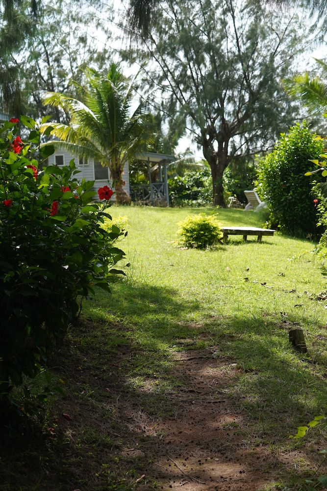 Sasa Nature Lodge