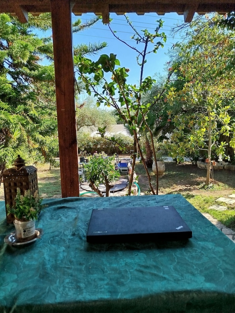 Rozalia Studios