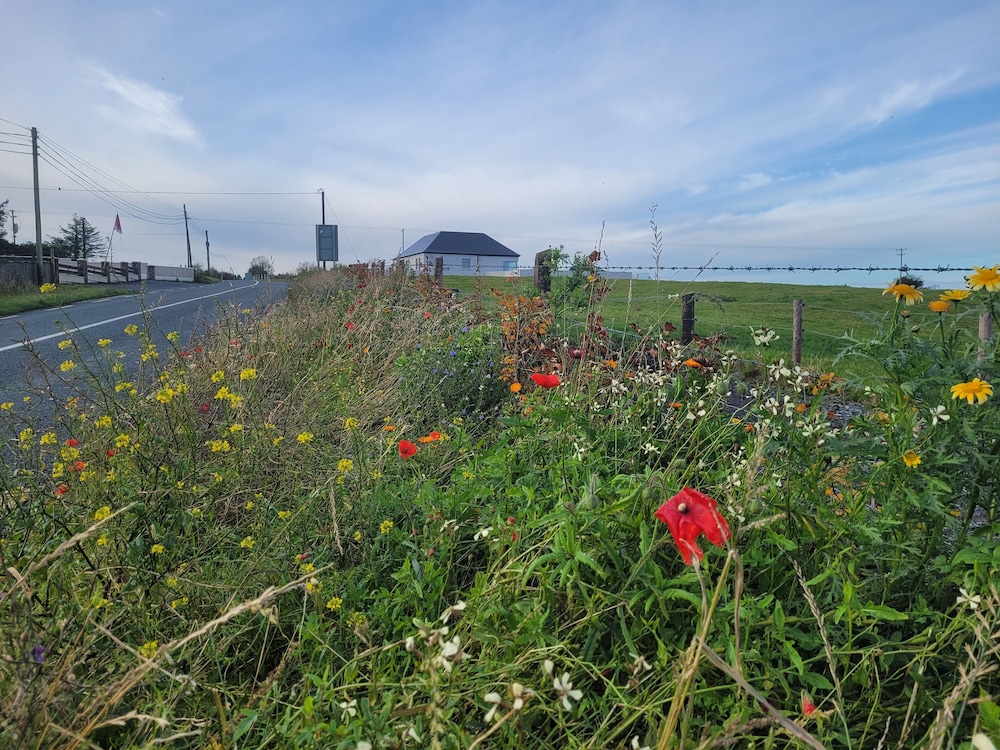 Immaculate 2-bed Cottage in Tuam