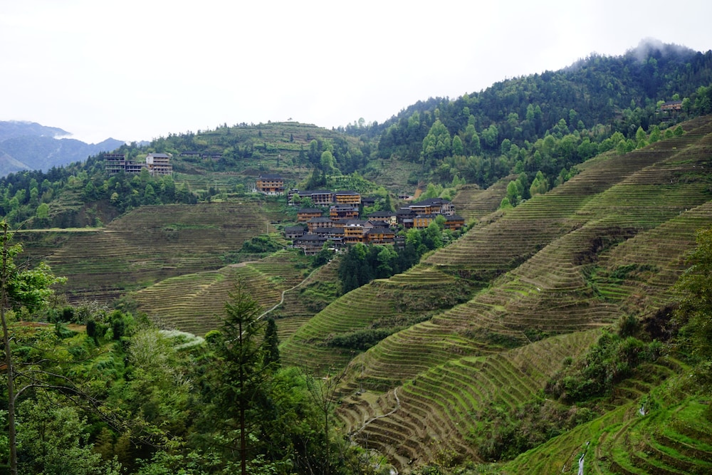Longji Rice Terraces Hostel