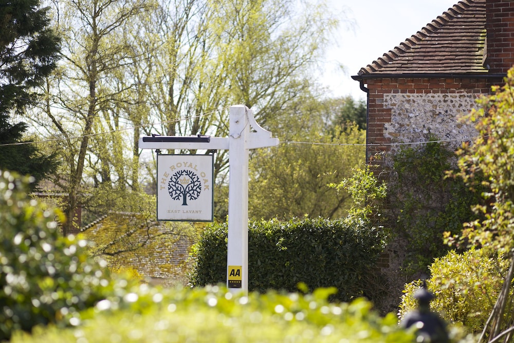The Royal Oak