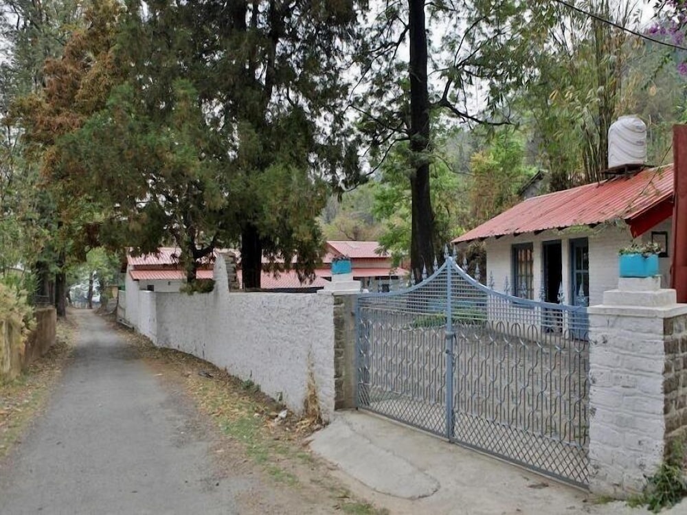 Photo 29