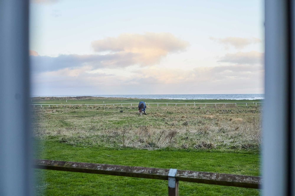 Host Stay By The Sea
