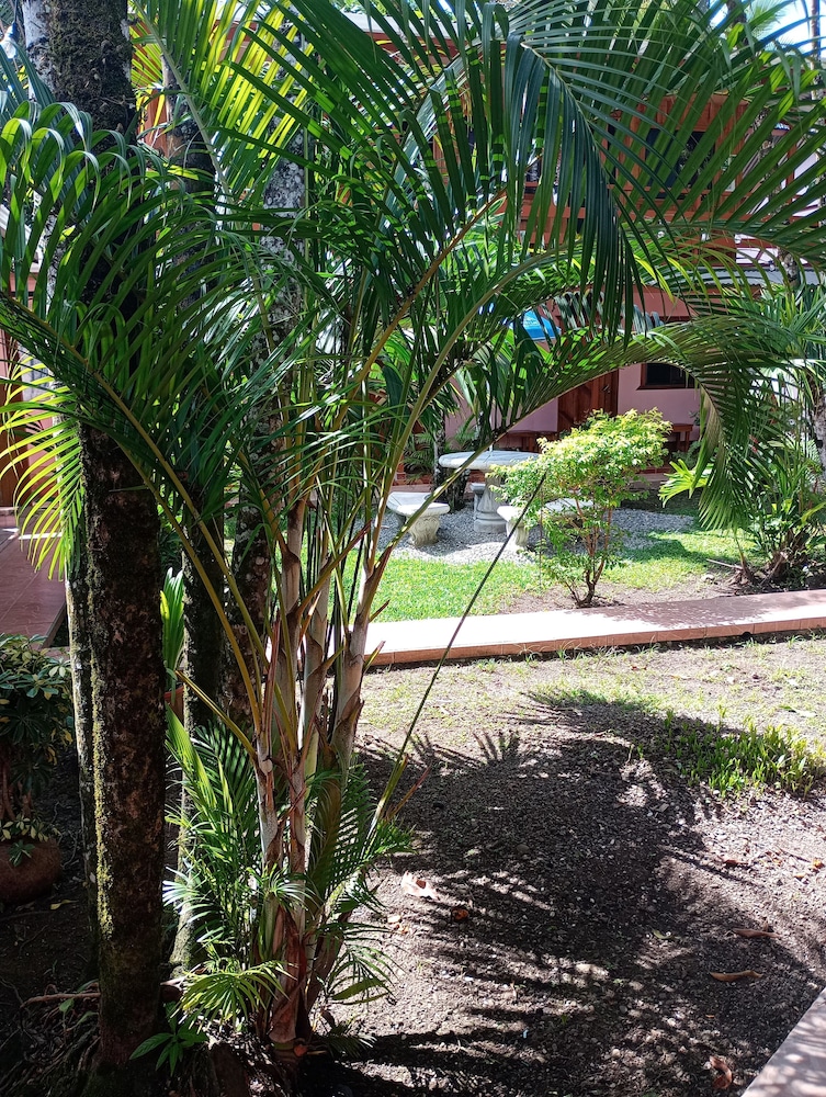 Photo 25