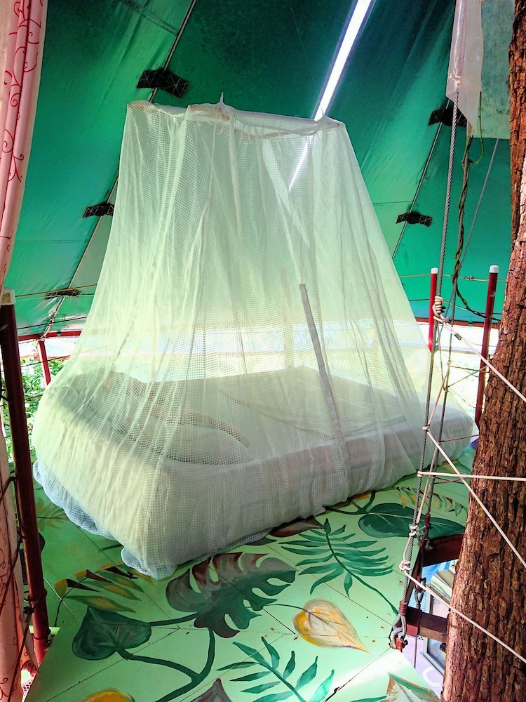 Nature Observatorio Amazing Treehouse