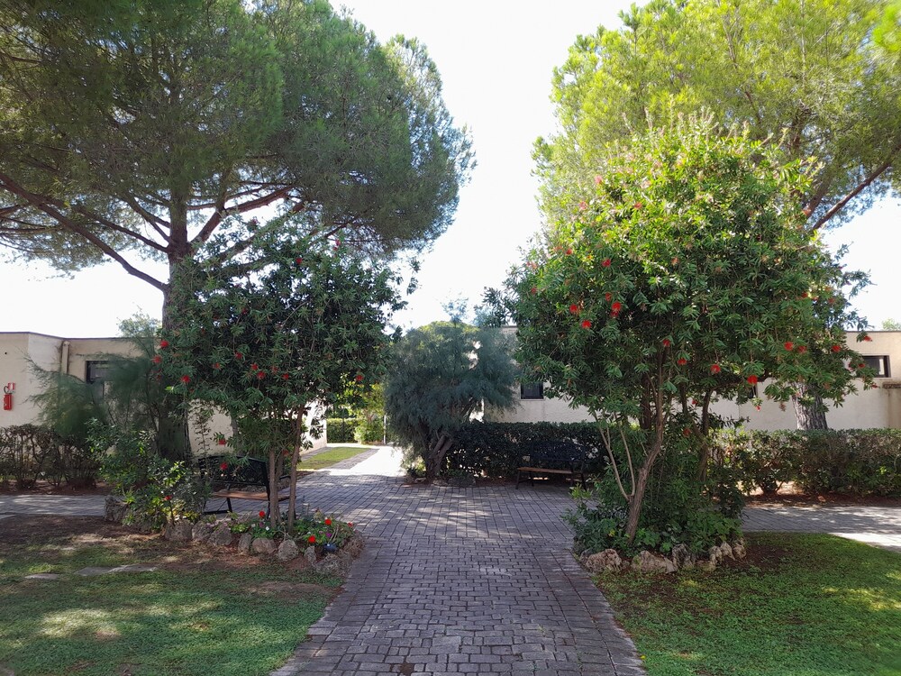 Photo 27