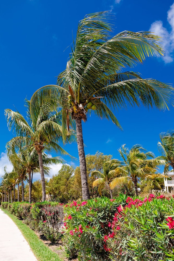 Resorts World Bimini