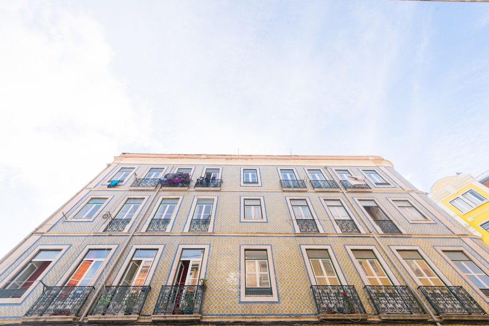 Typical Almirante by Homing