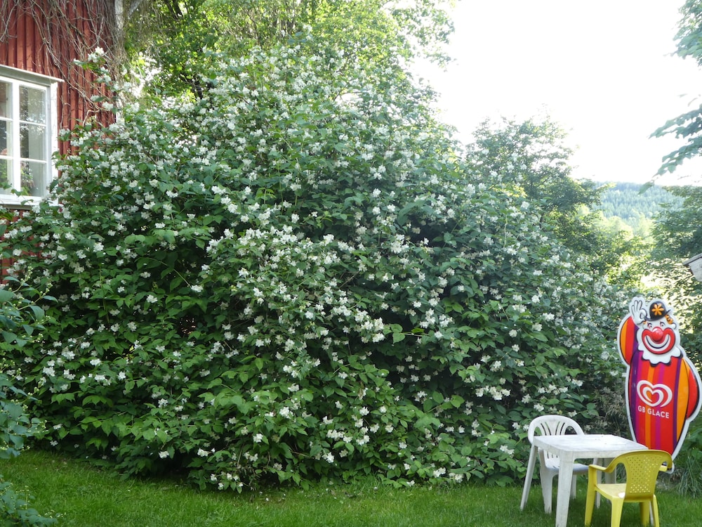 Prästmyren vandrarhem