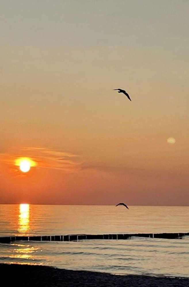 Marina del Mar Zingst