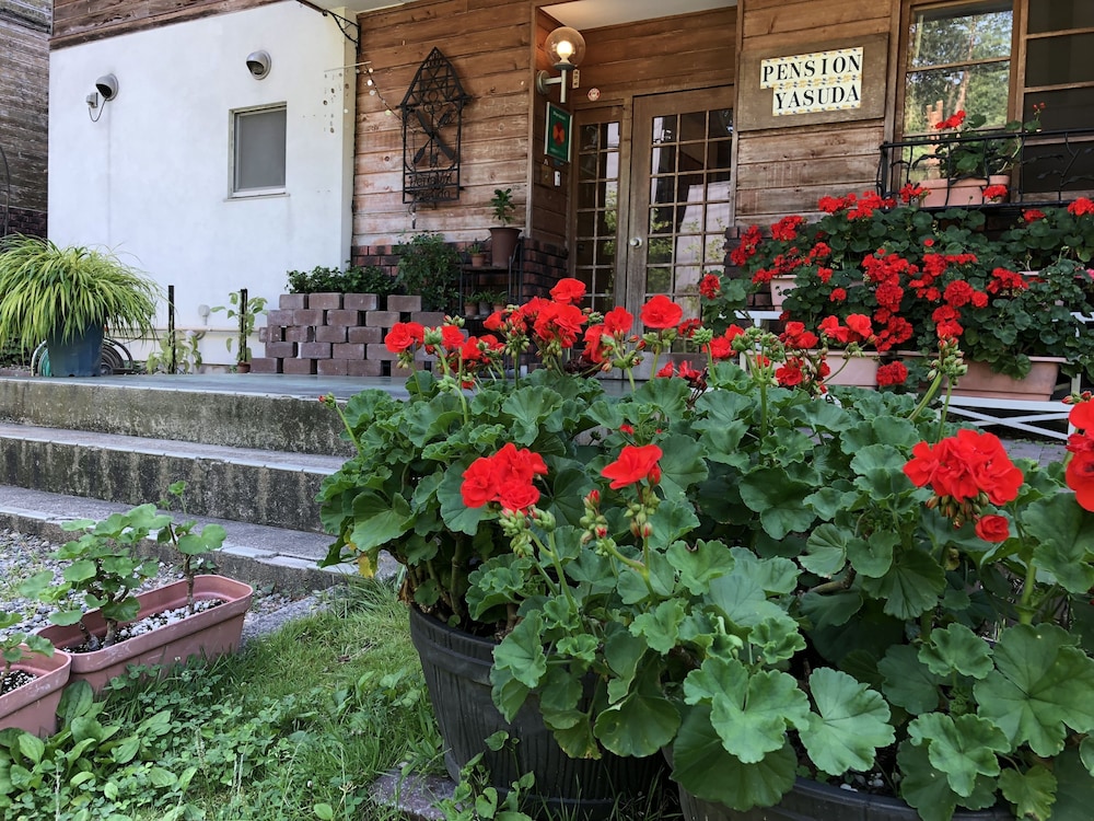 Inn of Amigos Yasuda Pension