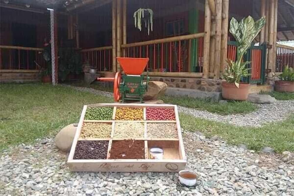 Finca Tradicional La Colonia