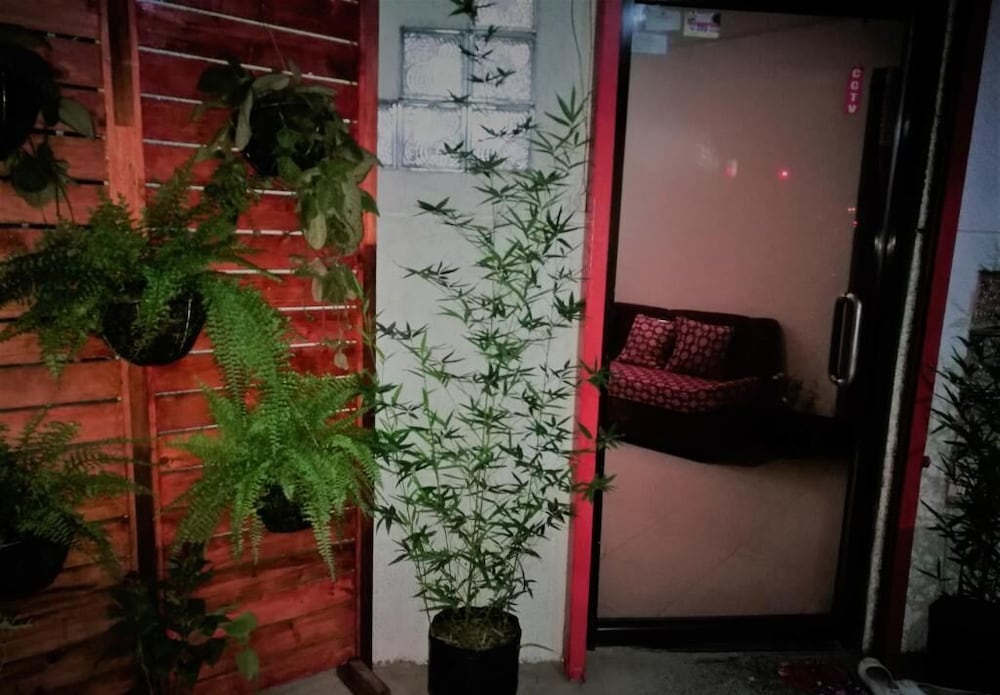Photo 42