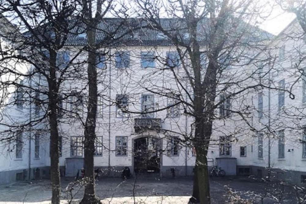 Photo 42