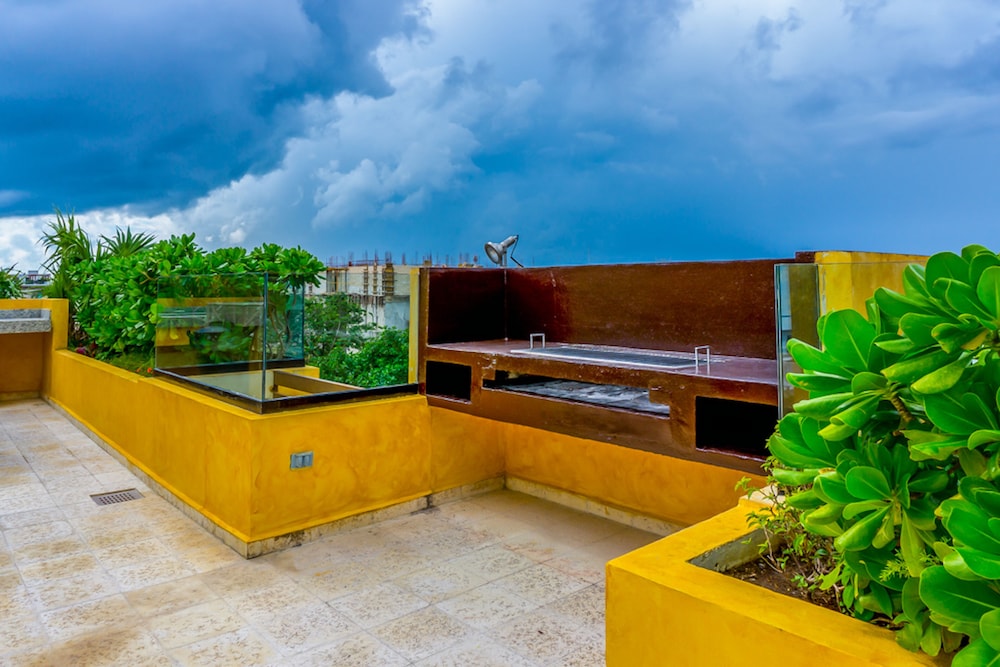 roof