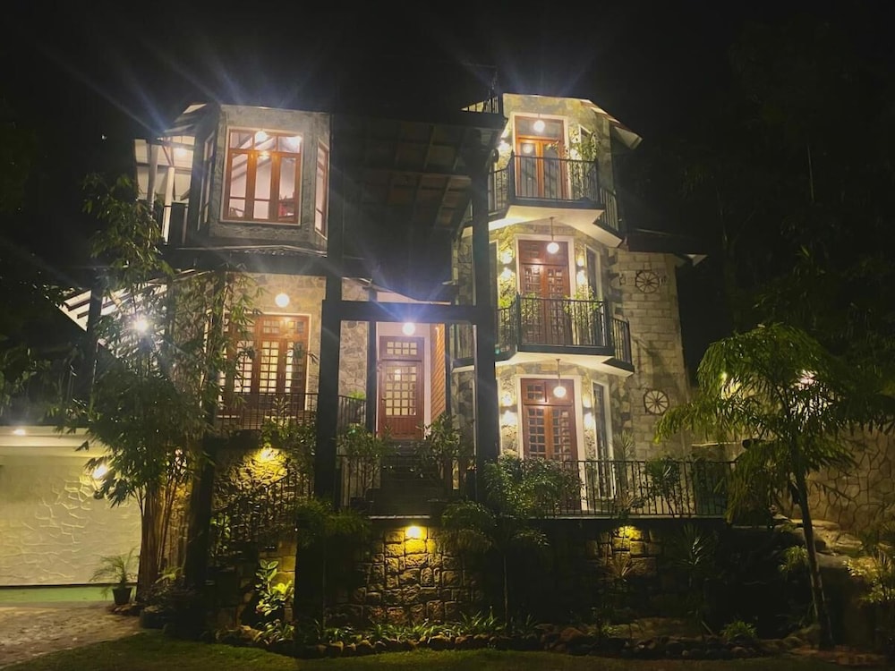 Villa Shungite