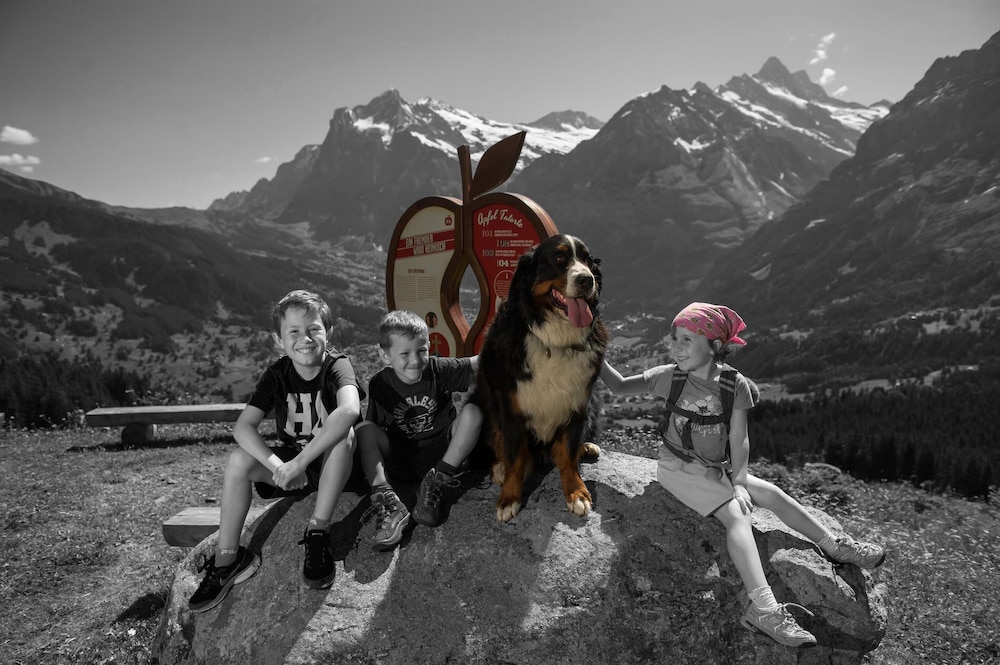 Eiger Lodge Easy